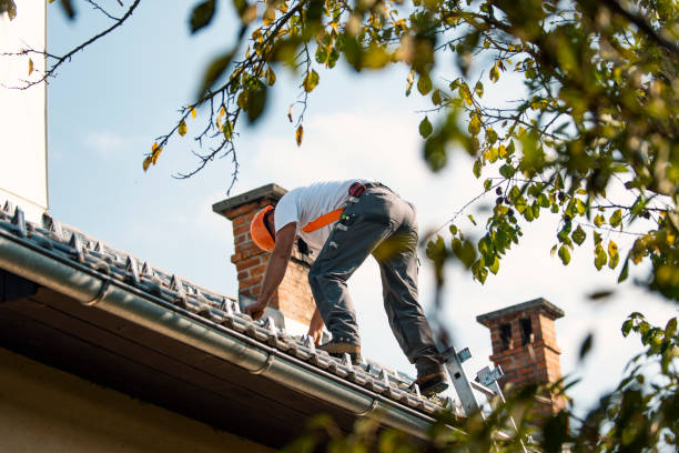 Best Roof Maintenance Services  in East Camden, AR