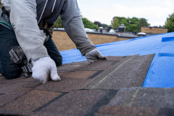 Roof Repair Estimates in East Camden, AR