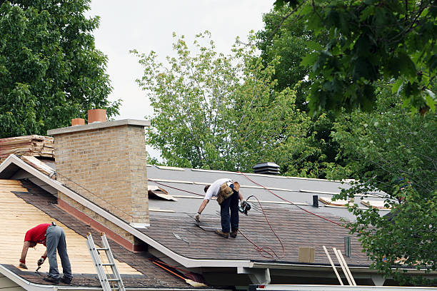 Best Roof Waterproofing Services  in East Camden, AR