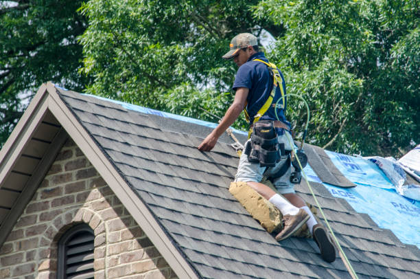 Best Storm Damage Roof Repair  in East Camden, AR