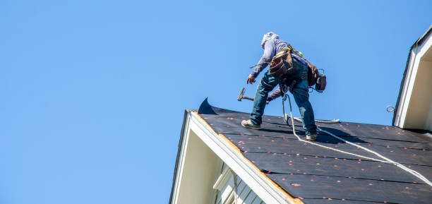 Best Roof Gutter Cleaning  in East Camden, AR